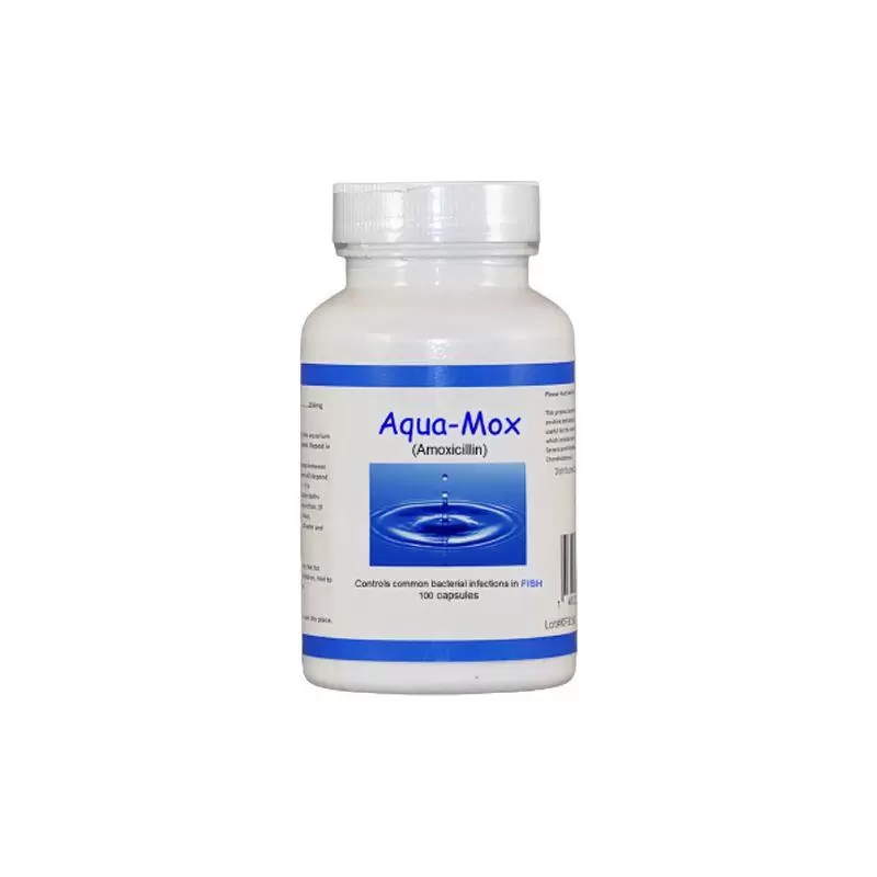 Aqua-Mox (Amoxicillin) Forte 500 MG, 100 Capsules